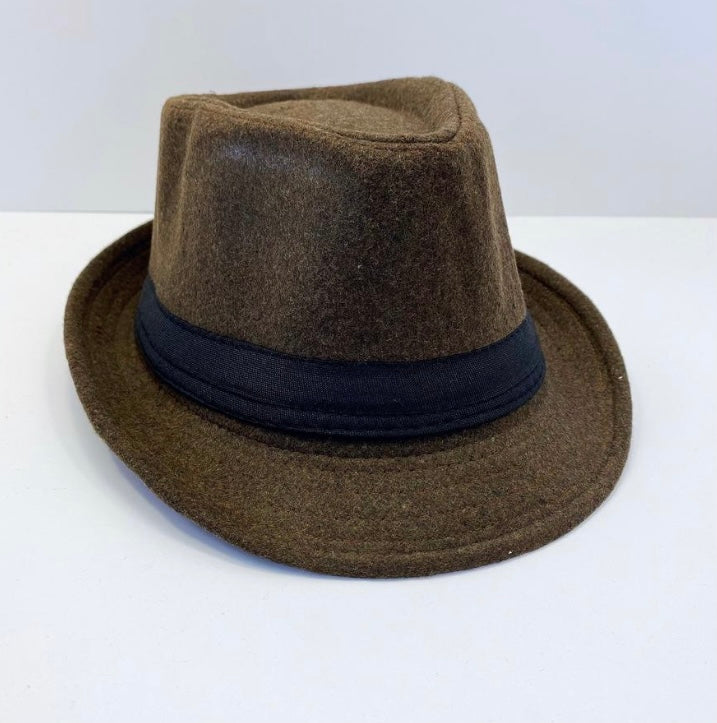 Men Stylish Hats